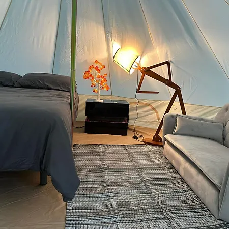 Tiendas Safaris Ripoll